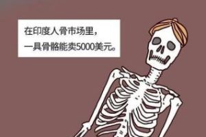 現(xiàn)在—個腎值多少錢