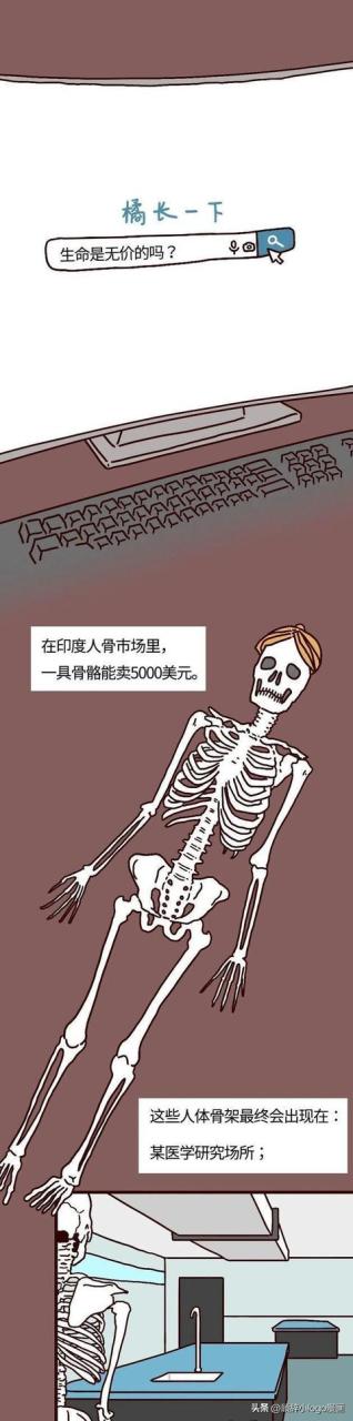 現在—個腎值多少錢插圖