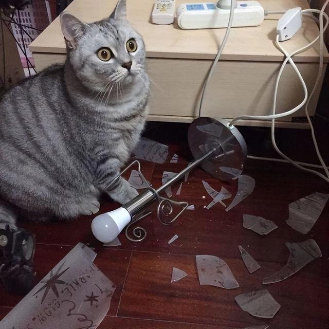 自我懲罰的方法要狠毒1到50種24小時憋尿時間表插圖9