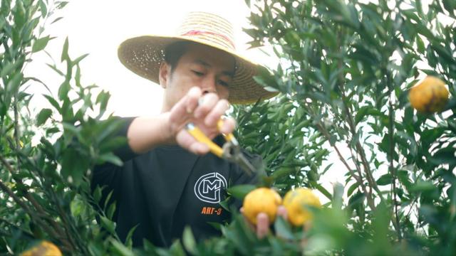 拼多多助力全是福氣滿滿拼多多福氣滿滿還有希望嗎插圖