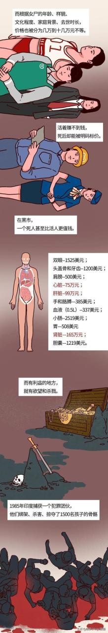 現在—個腎值多少錢插圖3