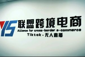 Tiktok無人直播，不出鏡不剪輯不拍攝不發貨無售后的跨境短視頻玩法