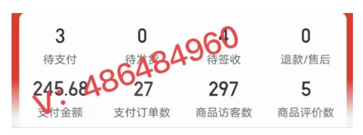 拼多多虛擬開店打卡群：新手到入門到精通插圖1