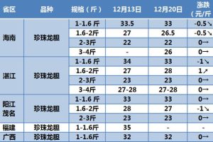 龍膽魚價格—斤多少錢十斤龍膽魚多少錢