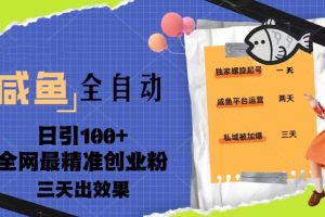 23年咸魚全自動暴力引創(chuàng)業(yè)粉課程，日引100 三天出效果