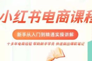 小紅書電商新手入門到精通實操課，從入門到精通做爆款筆記，開店運營