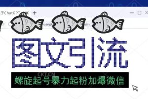 23年價值1980的圖文引流創(chuàng)業(yè)粉螺旋起好技術(shù)暴力起粉加爆微信