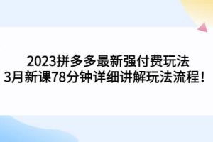 2023拼多多最新強付費玩法，3月新課78分鐘詳細講解玩法流程