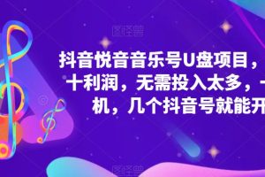 抖音音樂號U盤項目 一單幾十利潤 無需投入太多 一臺手機 幾個抖音號就開始