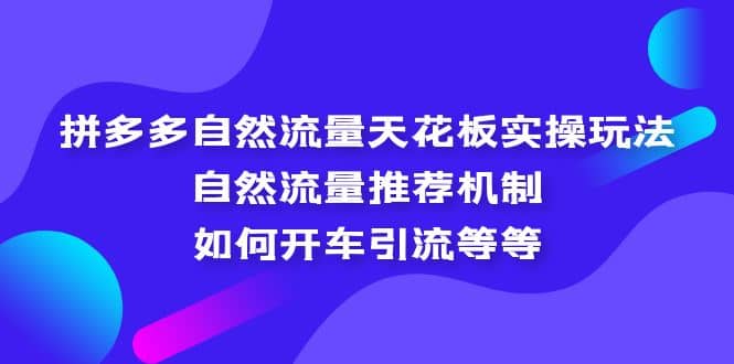拼多多自然流量天花板實操玩法：自然流量推薦機制，如何開車引流等等插圖