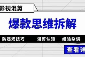影視混剪爆款思維拆解 從混剪認知到0粉小號案例 講防違規技巧 各類問題解決