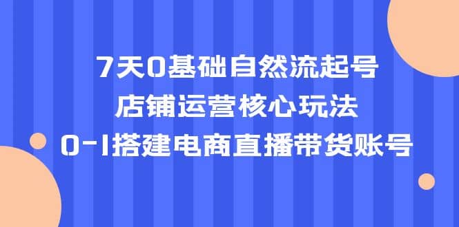 7天0基礎(chǔ)自然流起號(hào)，店鋪運(yùn)營(yíng)核心玩法，0-1搭建電商直播帶貨賬號(hào)插圖