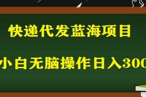2023最新藍海快遞代發項目，小白零成本照抄