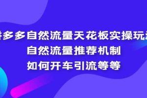 拼多多自然流量天花板實操玩法：自然流量推薦機制，如何開車引流等等