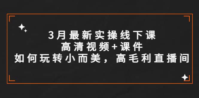 3月最新實操線下課高清視頻 課件，如何玩轉小而美，高毛利直播間插圖