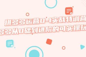 拼多多運營0-1實戰特訓營，拼多多從0礎到進階的可實操玩法