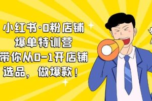 小紅書·0粉店鋪爆單特訓營 帶你從0-1開店鋪，選品，做爆款（課程 工具包）