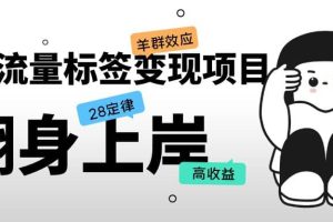 抖音流量標(biāo)簽變現(xiàn)項(xiàng)目，抖音創(chuàng)業(yè)粉輕松轉(zhuǎn)化，單價(jià)高收益簡單