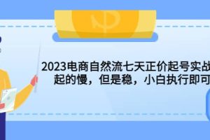 2023電商自然流七天正價起號實戰課：起的慢，但是穩，小白執行即可