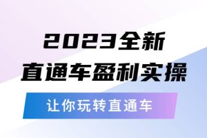 2023全新直通車·盈利實操：從底層，策略到搭建，讓你玩轉(zhuǎn)直通車