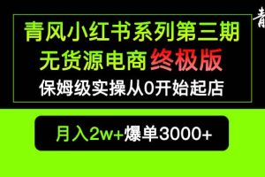 小紅書無貨源電商爆單終極版【視頻教程 實(shí)戰(zhàn)手冊(cè)】保姆級(jí)實(shí)操從0起店爆單