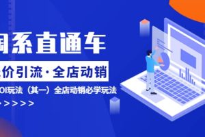 淘系直通車《低價(jià)·引流 全店·動(dòng)銷》超高ROI玩法（其一）全店動(dòng)銷必學(xué)玩法