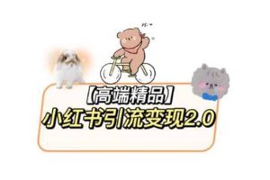 小紅書最新引流變現(xiàn)2.0教程，全網(wǎng)最新最詳細的視頻教程 素材