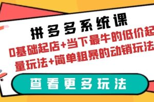 拼多多系統課：0基礎起店 當下最牛的低價起量玩法 簡單粗暴的動銷玩法