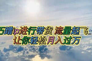 巧蹭ip進行帶貨，流量起飛，讓你輕松月入過萬