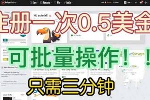 國外項目注冊一次0.5美金 只需三分鐘無腦操作 可批量放大 小白工作室福利