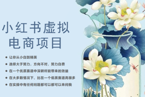 小紅書虛擬電商從0到1，讓你從小白到精英（20節實操課程）