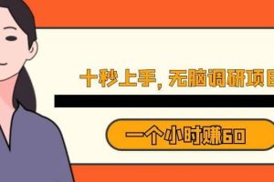 十秒鐘上手，一個(gè)小時(shí)60元暴利無(wú)腦調(diào)研項(xiàng)目【揭秘】