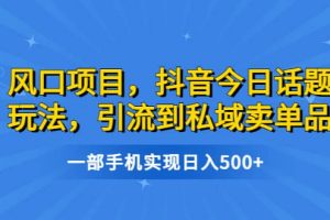 風口項目，抖音今日話題玩法，引流到私域賣單品，一部手機實現日入500