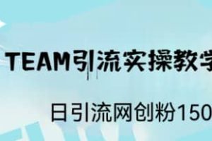 ST TEAM引流實操課，日引流網創粉100