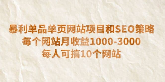 暴利單品單頁網站項目和SEO策略 每個網站月收益1000-3000 每人可搞10個插圖