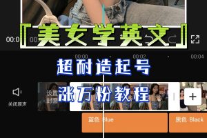 某公眾號(hào)付費(fèi)文章《“美女學(xué)英文”超耐造起號(hào)、漲萬(wàn)粉教程》親測(cè)效果爆炸