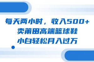 每天兩小時，收入500 ，賣莆田高端籃球鞋，小白輕松月入過萬（教程 素材）