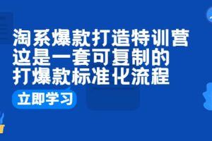 淘系爆款打造特訓營：這是一套可復制的打爆款標準化流程