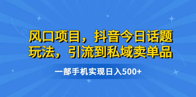 風口項目，抖音今日話題玩法，引流到私域賣單品，一部手機實現日入500插圖