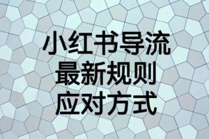 小紅書導流最新規則應對方式【揭秘】