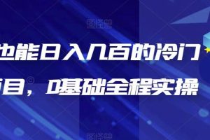 新手也能日入幾百的冷門DIY項目，0基礎全程實操【揭秘】