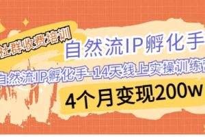 某社群收費培訓：自然流IP 孵化手-14天線上實操訓練營 4個月變現200w
