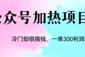 冷門公眾號加熱項目，一單利潤300