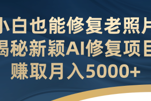 小白也能修復老照片！揭秘新穎AI修復項目，賺取月入5000
