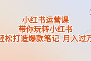 小紅書運營課，帶你玩轉小紅書，輕松打造爆款筆記 月入過萬