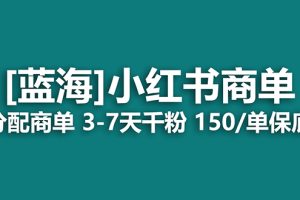 2023藍海項目，小紅書商單，快速千粉，長期穩定，最強藍海沒有之一