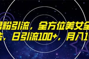 精準(zhǔn)男粉引流，全方位美女全視角玩法，日引流100 ，月入1w