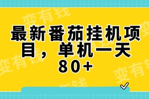 最新番茄小說掛機，單機一天80 可批量操作!