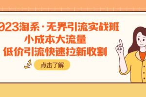 2023淘系·無界引流實戰(zhàn)班：小成本大流量，低價引流快速拉新收割