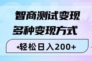 智商測試變現(xiàn)，輕松日入200 ，幾分鐘一個視頻，多種變現(xiàn)方式（附780G素材）